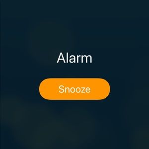 Meet your Posher, Vick